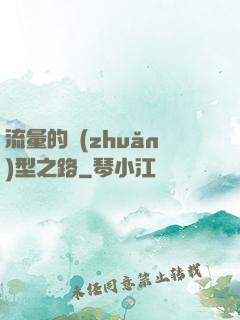 流量的轉(zhuǎn)型之路