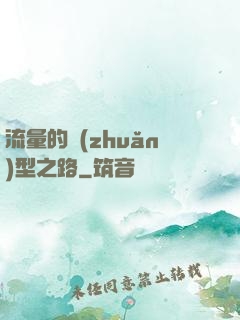 流量的轉(zhuǎn)型之路