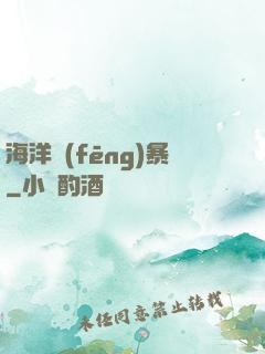 海洋風(fēng)暴