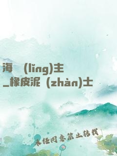 海盜領(lǐng)主