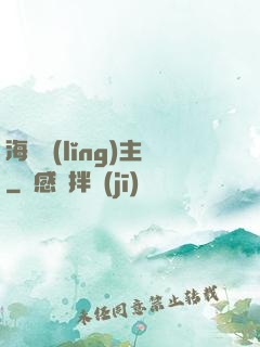 海盜領(lǐng)主