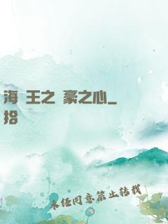 海賊王之劍豪之心