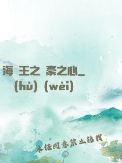 海賊王之劍豪之心