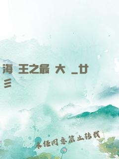 海賊王之最強大將