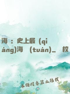 海賊：史上最強(qiáng)海賊團(tuán)