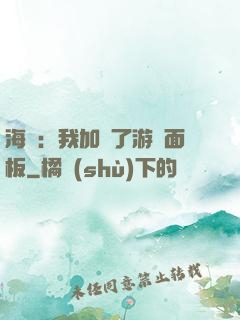 海賊：我加載了游戲面板