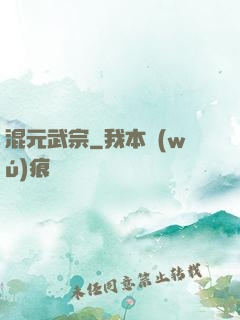 混元武宗
