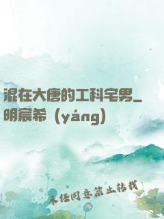 混在大唐的工科宅男