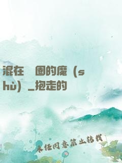 混在娛樂圈的魔術(shù)師