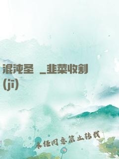 混沌圣體