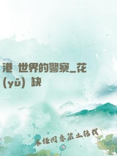 港綜世界的警察