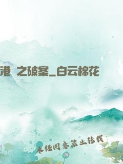港綜之破案