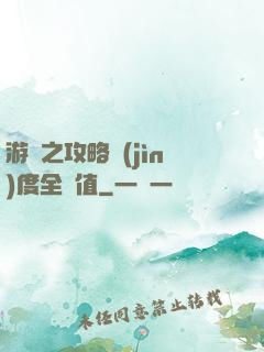游戲之攻略進(jìn)度全滿值