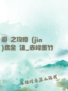 游戲之攻略進(jìn)度全滿值