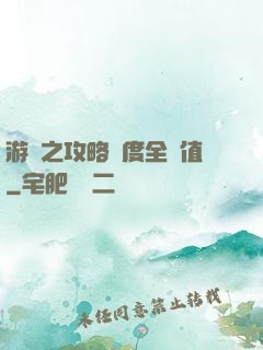 游戲之攻略進度全滿值