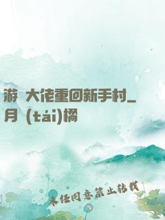 游戲大佬重回新手村