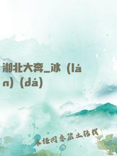 湘北大奔