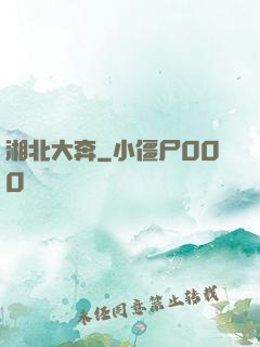 湘北大奔