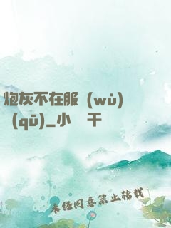 炮灰不在服務(wù)區(qū)