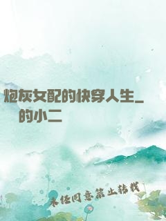 炮灰女配的快穿人生