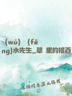 無(wú)敵風(fēng)水先生