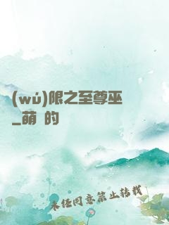 無(wú)限之至尊巫師
