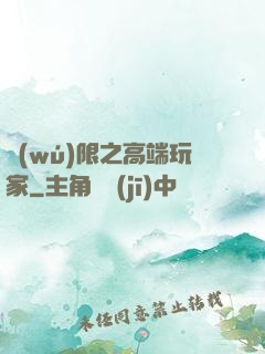 無(wú)限之高端玩家