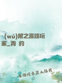 無(wú)限之高端玩家