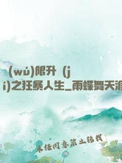 無(wú)限升級(jí)之狂暴人生