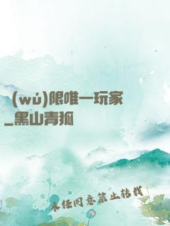 無(wú)限唯一玩家