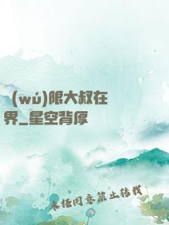 無(wú)限大叔在異界