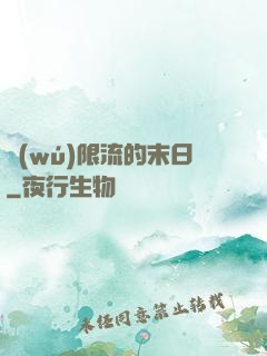無(wú)限流的末日