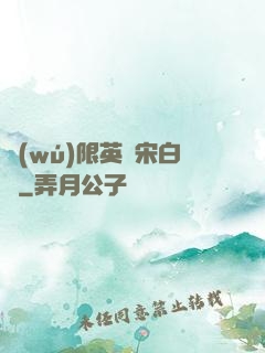 無(wú)限英靈宋白傳