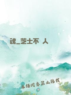 無敵劍魂