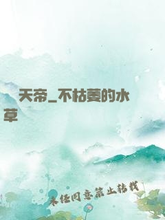 無敵天帝