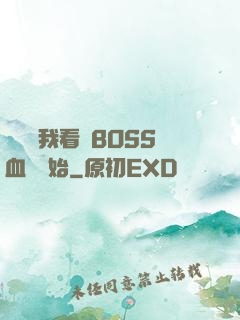 無敵從我看見BOSS血條開始