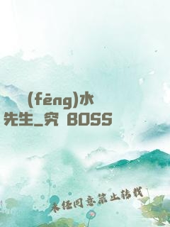 無敵風(fēng)水先生
