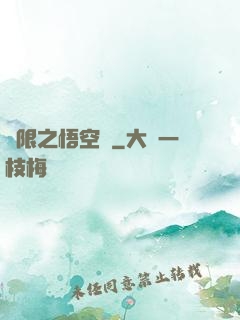 無限之悟空傳