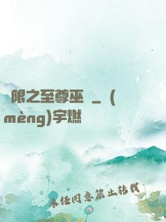 無限之至尊巫師