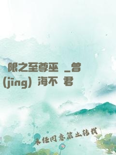 無限之至尊巫師