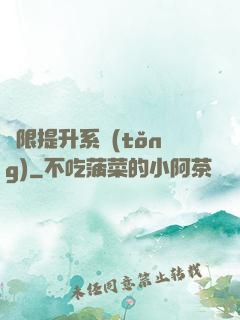 無限提升系統(tǒng)