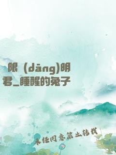無限當(dāng)明君