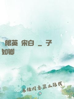無限英靈宋白傳