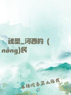 無雙魂圣