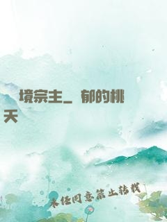 煉氣境宗主