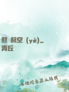 熬鷹航空業(yè)