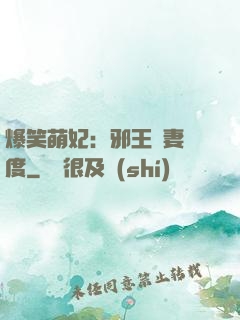 爆笑萌妃：邪王寵妻無度