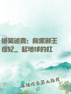 爆笑追妻：腹黑邪王戲痞妃