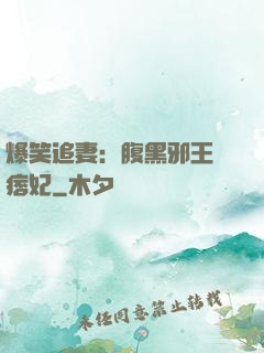 爆笑追妻：腹黑邪王戲痞妃