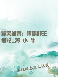 爆笑追妻：腹黑邪王戲痞妃